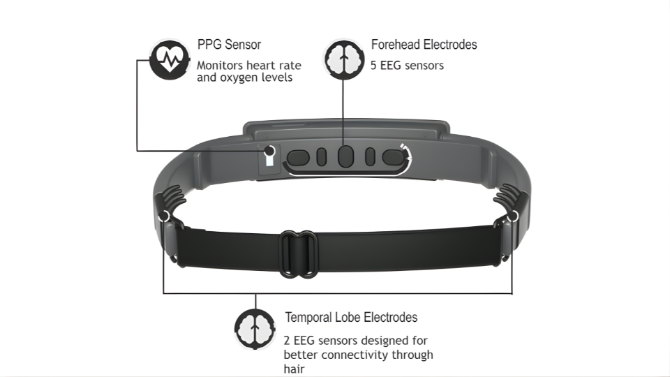 vinachamps senzeband 2 back